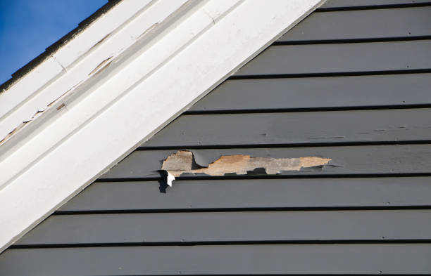 Best Storm Damage Siding Repair  in Galax, VA